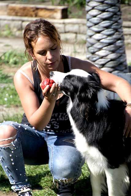 Mobile Hundeschule